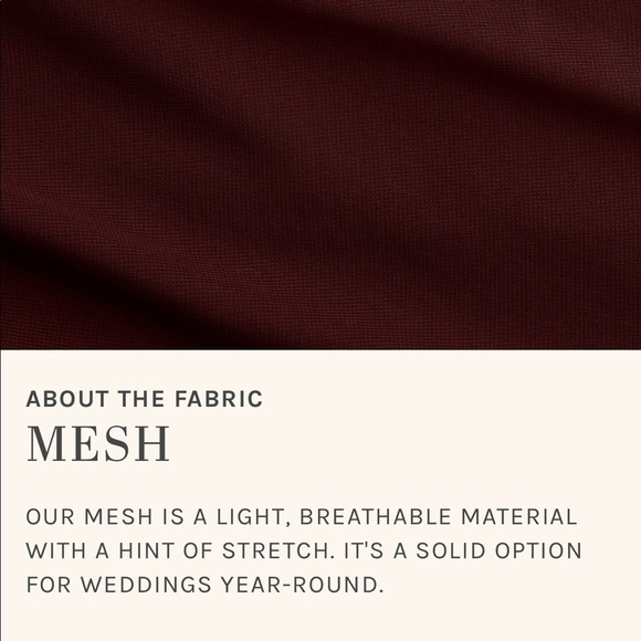 Birdy Grey Lianna Dress Mesh Cabernet NWT - Picture 7 of 7